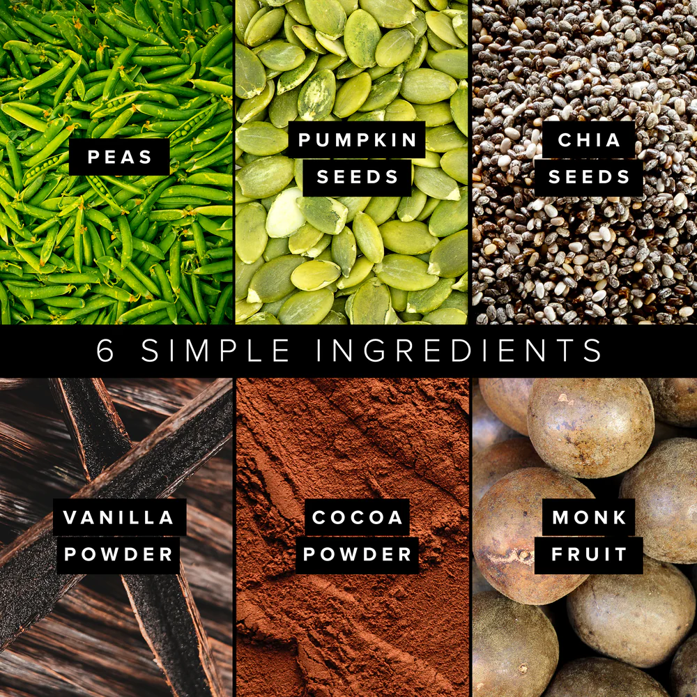 Plant Based Protein Powder